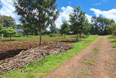 1 ac Residential Land at Tigoni - 3