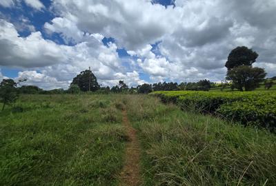 10 ac Residential Land in Tigoni