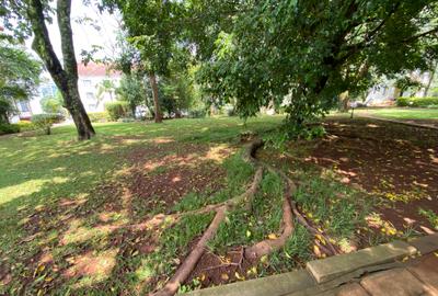 3 Bed Apartment with Swimming Pool in Muthaiga