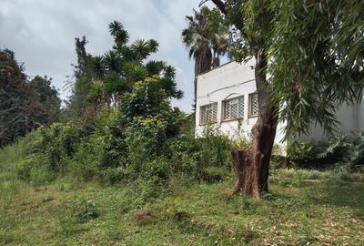 Commercial Property with Parking at Riverside Drive