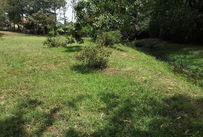 4,047 m² Residential Land in Karen