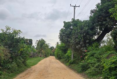 2 ac Land at Animo - 2