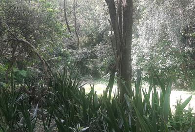 0.75 ac Residential Land at Naivasha Road - 4