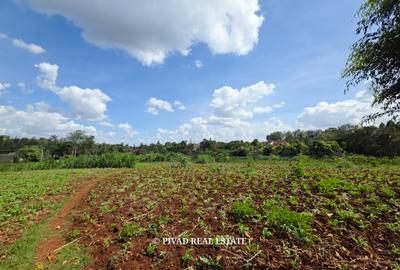 5.7 ac Land in Runda - 4