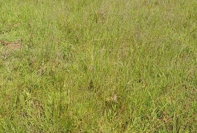 5,000 m² Residential Land at Mwalimu Farm