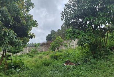 0.5 ac Residential Land at Runda - 4