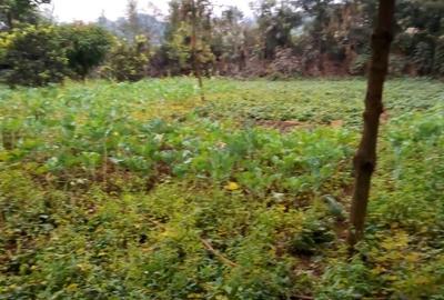 0.5 ac Residential Land in Kiambu Road - 4