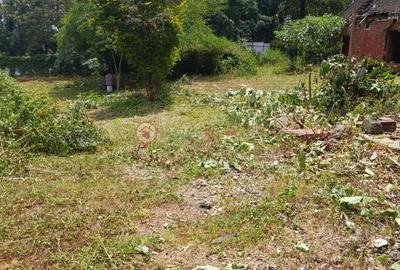 400 ac Land at Kilimani