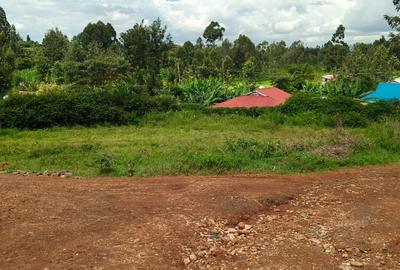 0.25 ac Land in Muchatha