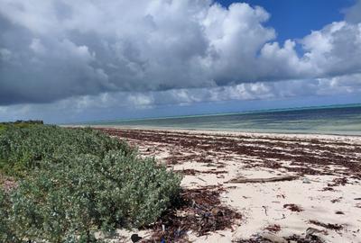 Land in Watamu - 2