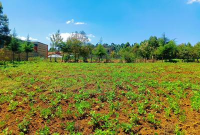 500 m² Residential Land at Runana Area