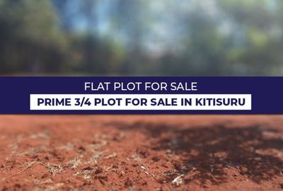 0.75 ac Land in Kitisuru