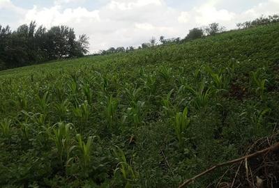 0.75 ac Land at Kibiko Ngong
