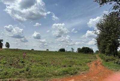 10 ac Land at Glory Road