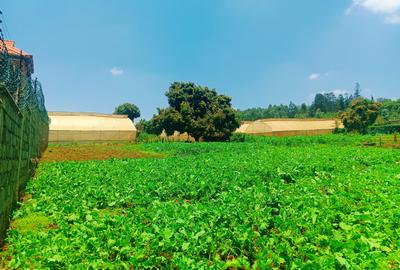 1,000 m² Residential Land at Ondiri - 4