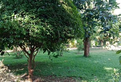 1 Bed House in Runda - 4