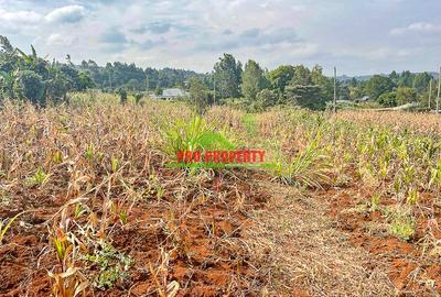 0.05 ha Residential Land in Kamangu - 2