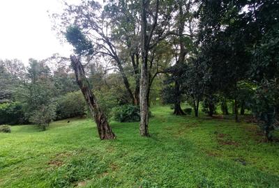 Residential Land at Lavington Green - 3