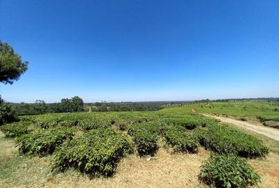 250 ac Land at Kiambu