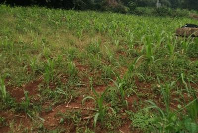 5,000 m² Commercial Land in Kiserian
