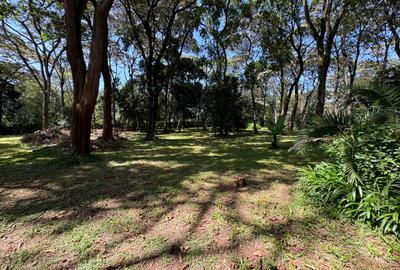 1 ac Land in Karen - 3