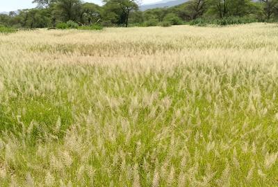 9,000 ac Land in Kajiado - 4