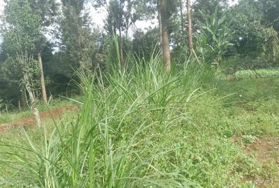 Residential Land in Kiambu Road