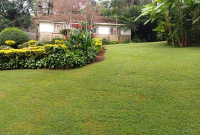 Residential Land in Lavington