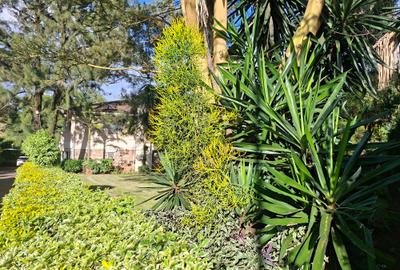 0.47 ft² Commercial Property with Backup Generator at Off Ngong Rd - 4