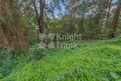 0.5 ac Land at Kitisuru Road