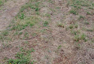 10 ac Land at Mweiga - 3