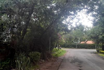 0.5 ac Land at Suguta Road