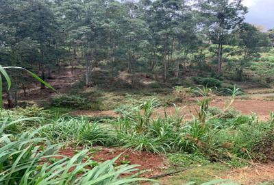 Residential Land in Kitisuru