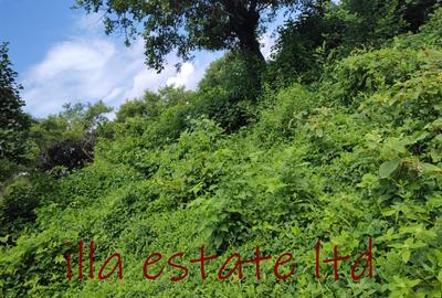 0.25 ac Land at Diani Beach Road