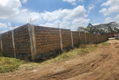 0.5 ac Commercial Land at Olekasasi - 2