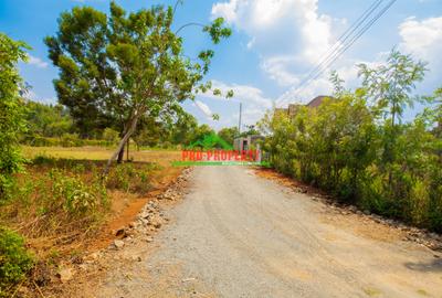 0.05 ha Residential Land at Jambu Tv - 4