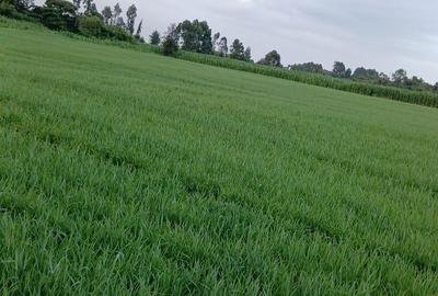 Land at Munyu Area - 3