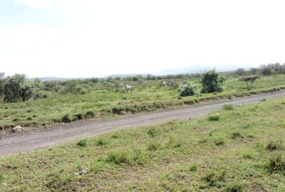 Land in Naivasha