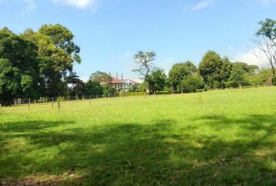 1 ac Land in Karen - 4