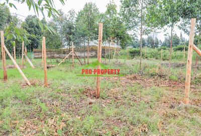 0.06 ha Residential Land at Ondiri