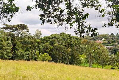 Residential Land at Karen
