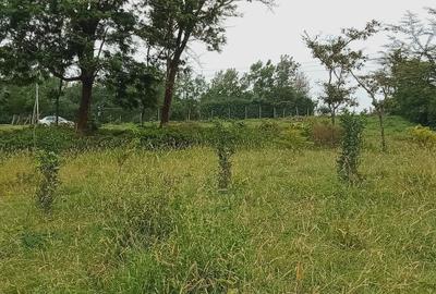 0.25 ac Land at Kibiko - 3