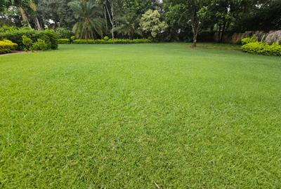 Commercial Property with Service Charge Included at Old Muthaiga - 2