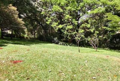 Residential Land in Kitisuru - 3