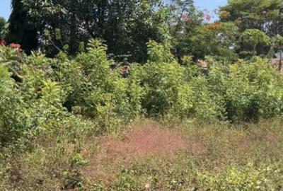 0.5 ha Land at Ls188 - 3