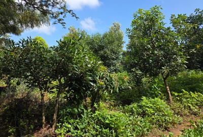 Land at Rwacumari