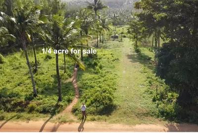 0.25 ac Land in Vipingo - 3