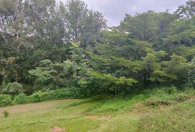 Residential Land at Lower Kabete