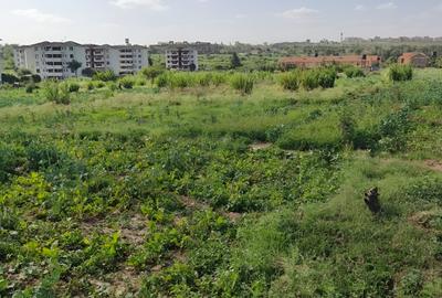 0.125 ac Land at Sabaki - 2