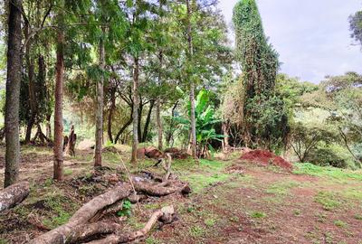2,000 m² Land in Karen Hardy